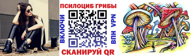 omg как войти  купить наркотики цена  Билибино  Галлюциногенные грибы Psilocybine cubensis 